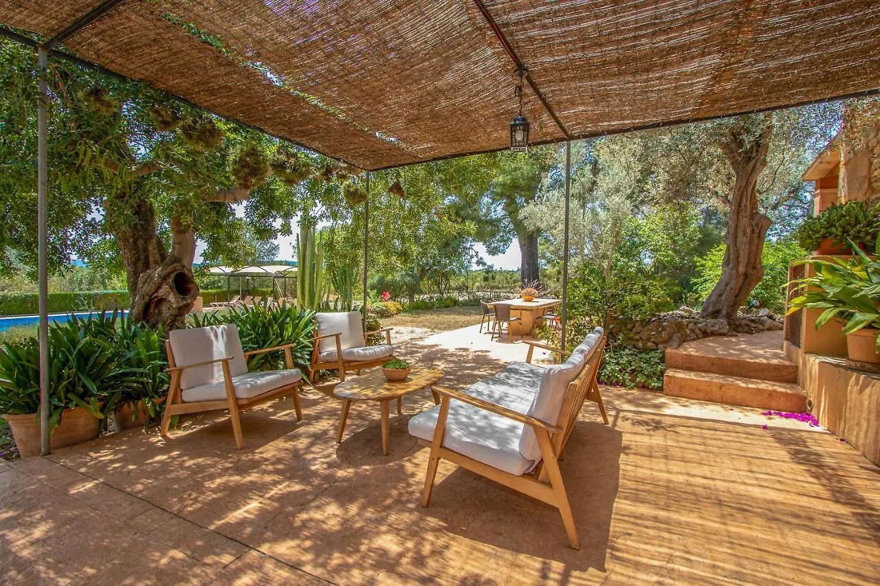 Дом отдыха Binissalem - 35239 Mallorca Испания