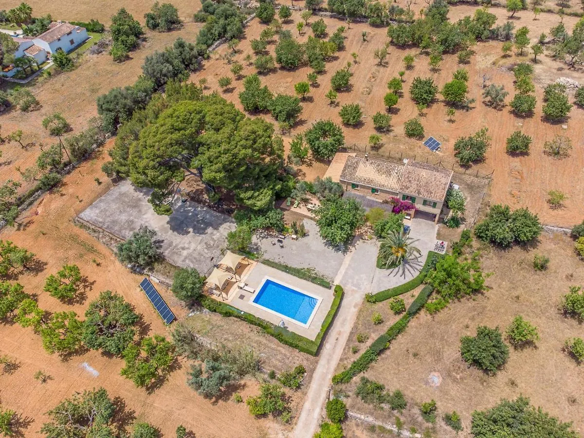 Дом отдыха Binissalem - 35239 Mallorca