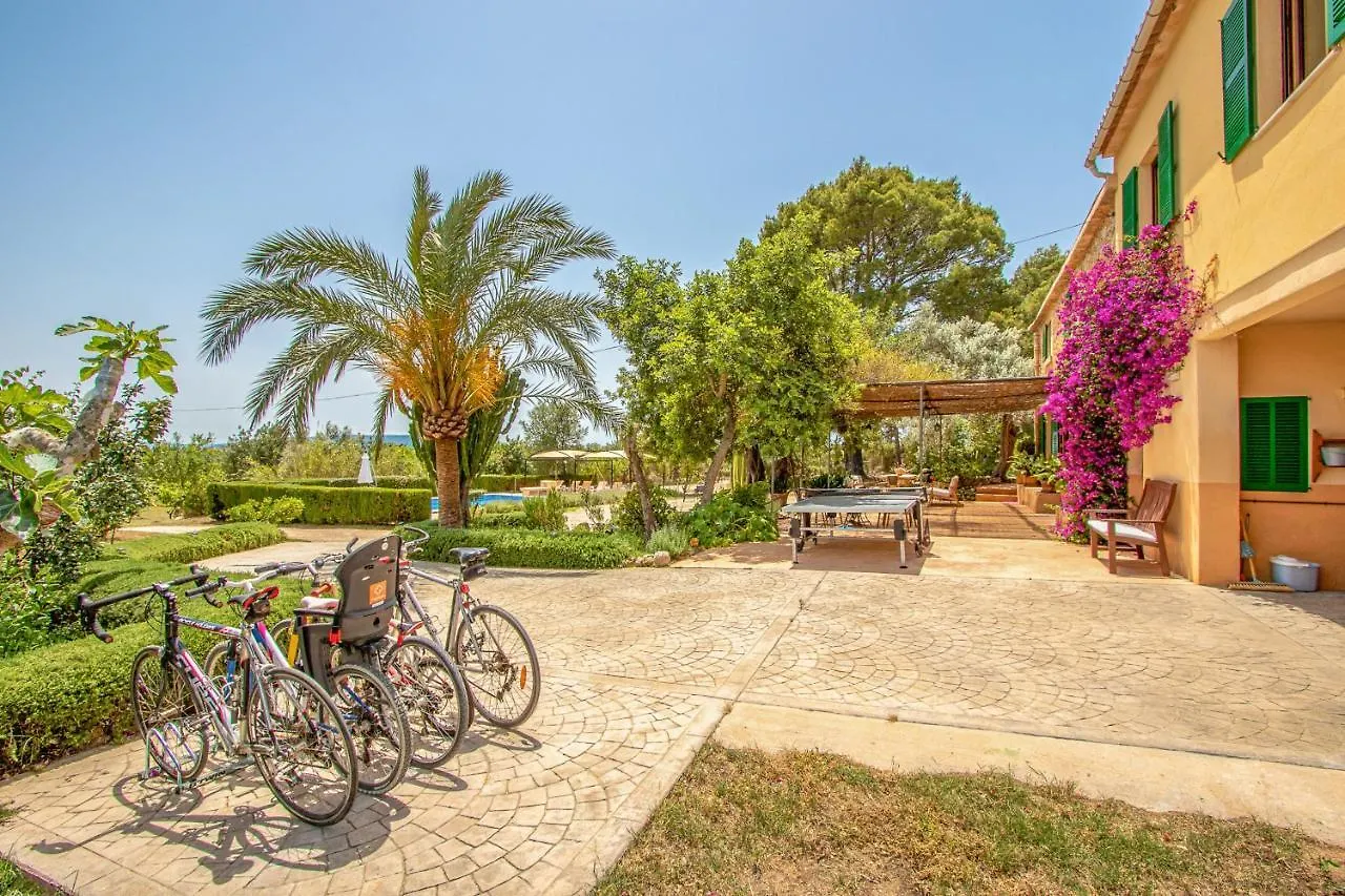 Holiday home Binissalem - 35239 Mallorca Spain