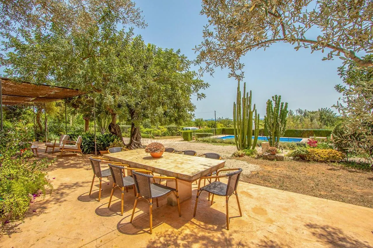 Binissalem - 35239 Mallorca Holiday home