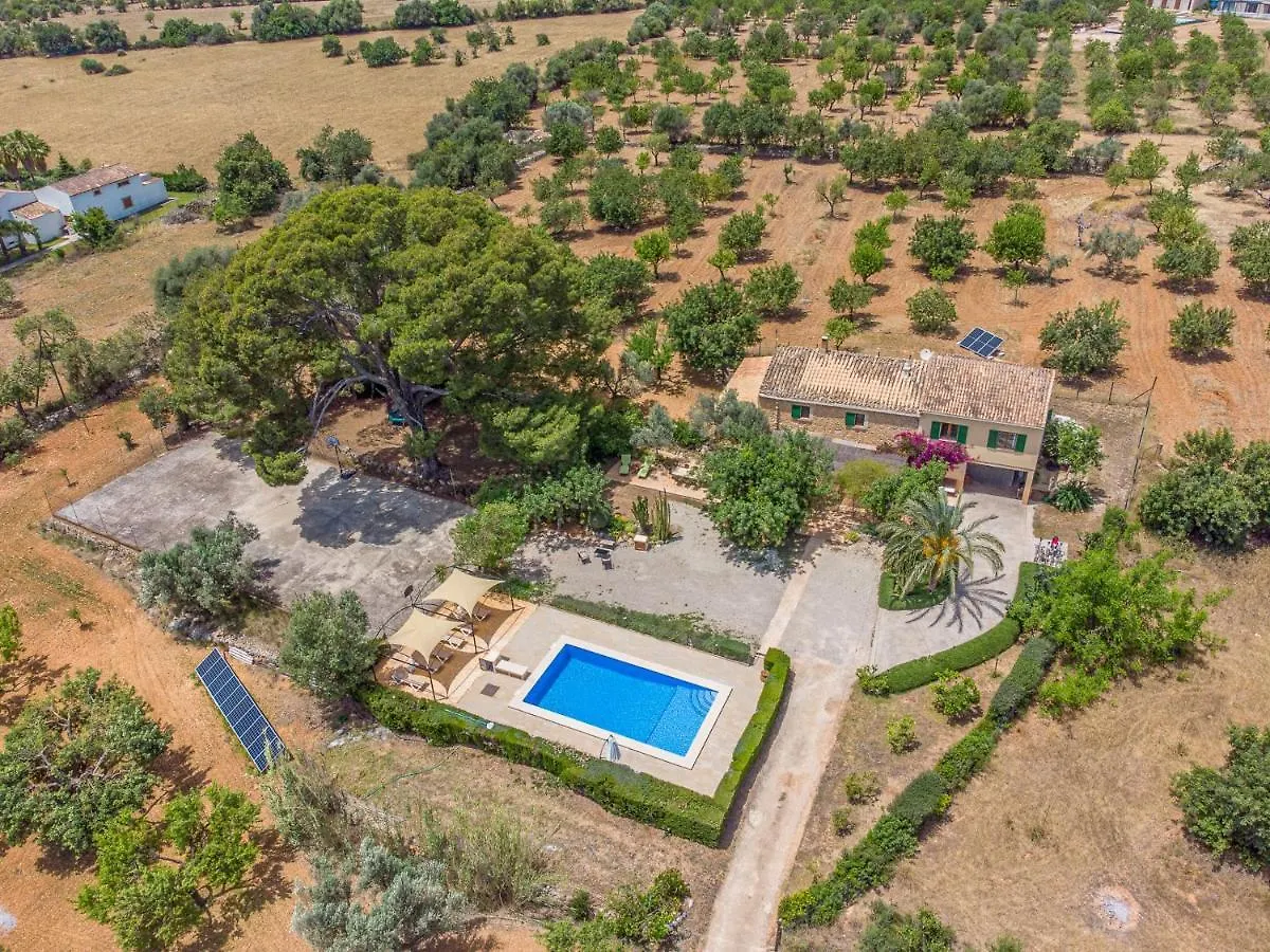 Binissalem - 35239 Mallorca Spain