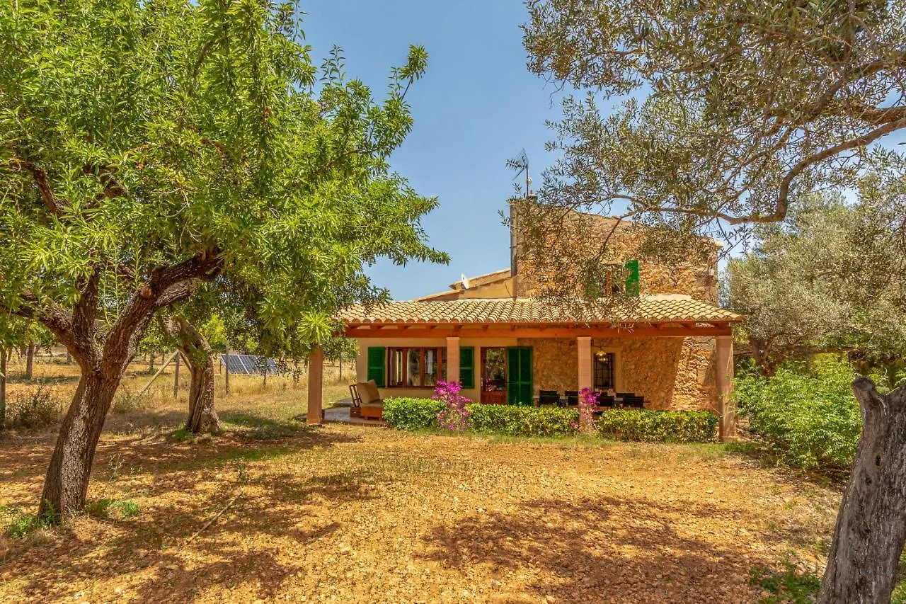 Binissalem - 35239 Mallorca Holiday home