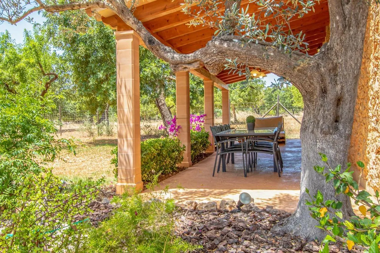 Holiday home Binissalem - 35239 Mallorca Spain