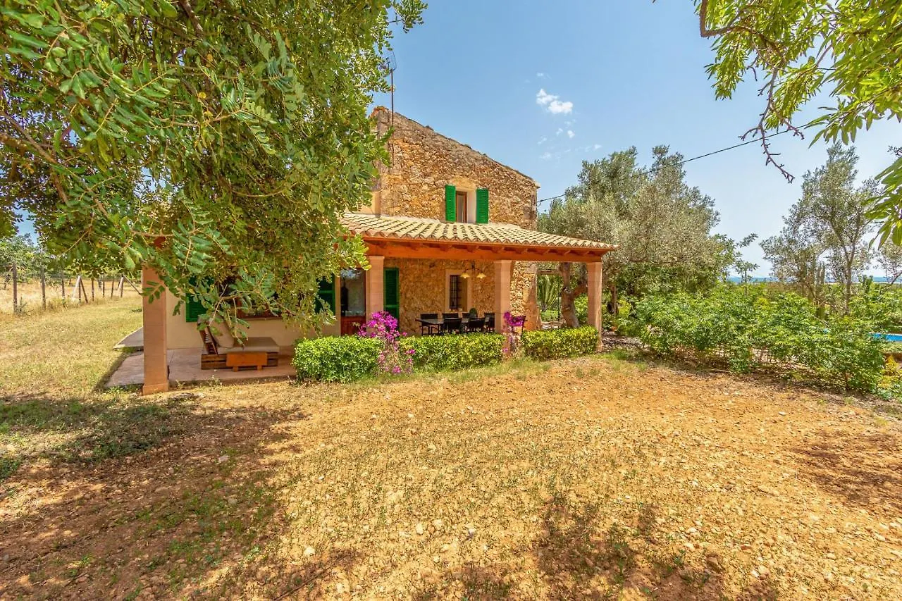 Binissalem - 35239 Mallorca Holiday home
