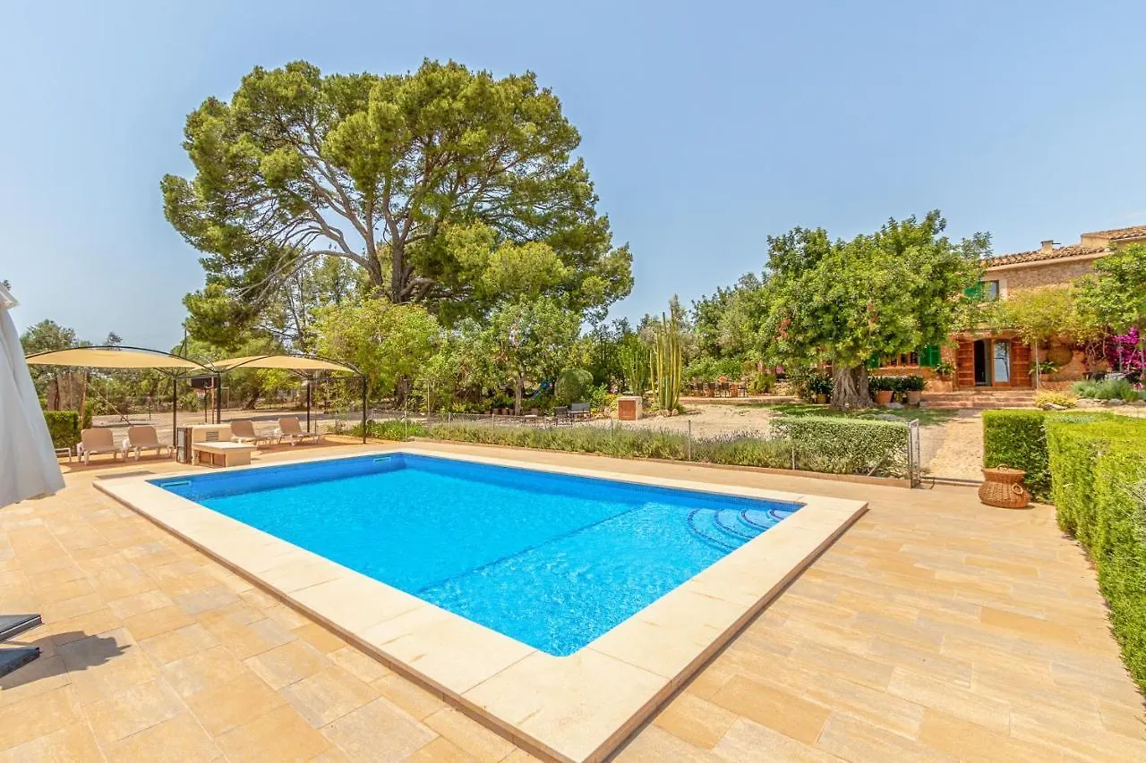 Holiday home Binissalem - 35239 Mallorca