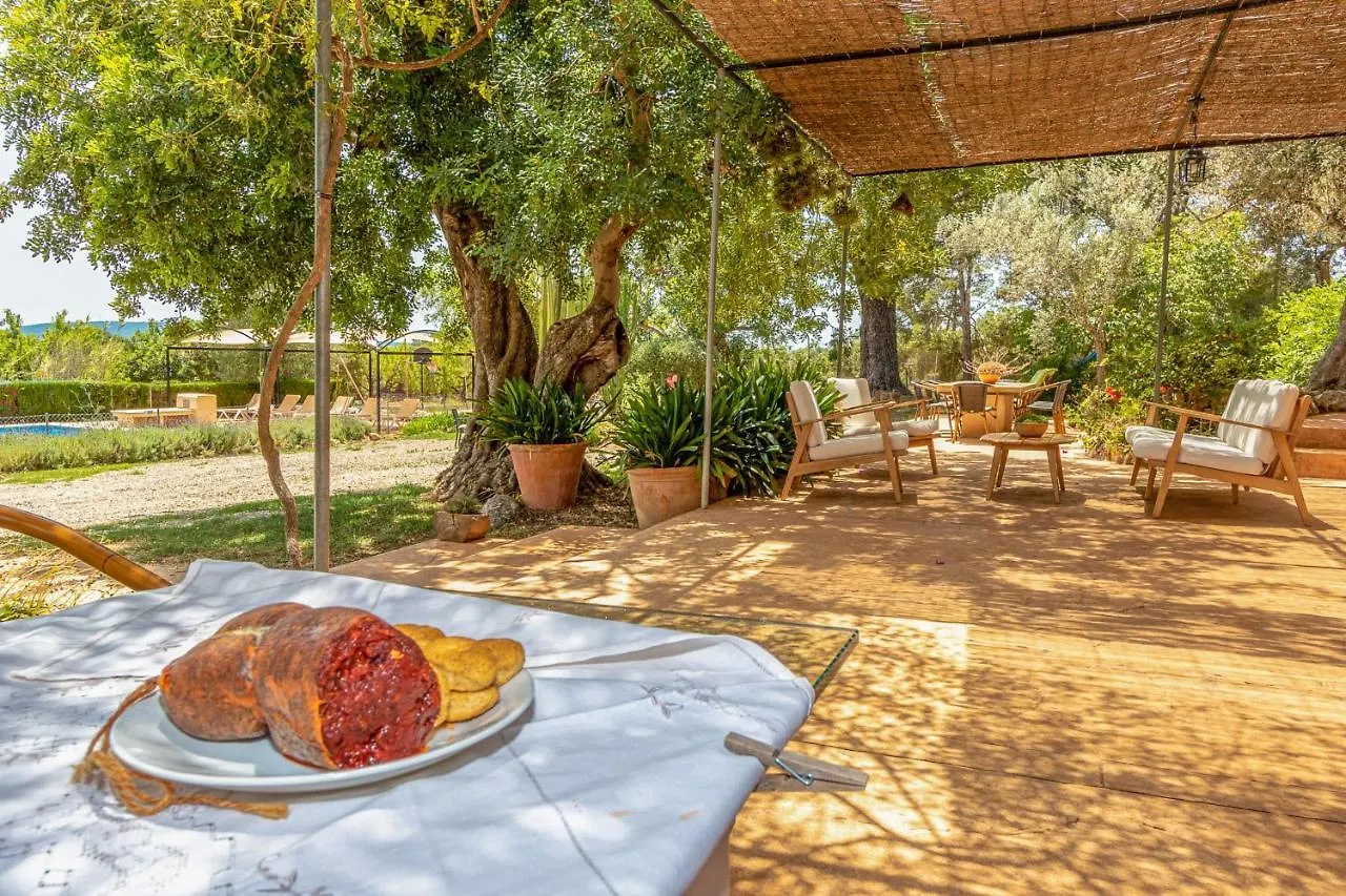 Binissalem - 35239 Mallorca
